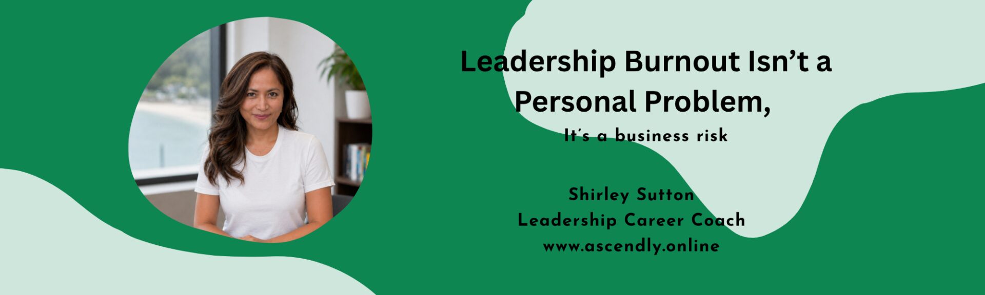 leadership, business coach, career coach, burnout, business risk